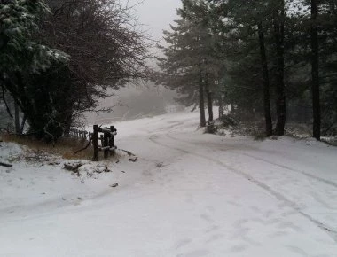 Αίσιο τέλος για το ζευγάρι που είχε χαθεί στην Πάρνηθα - Εντοπίστηκαν από την Πυροσβεστική (upd)